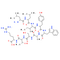 immunoglobulin light chain variable region fragment [Homo sapiens]/[Mus musculus]