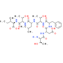 IgG light chain variable region [Homo sapiens]/IgM/kappa antibody [Mus musculus]