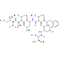 IgG light chain variable region [Homo sapiens]/IgM/kappa antibody [Mus musculus]