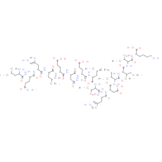 alpha-1 antitrypsin fragment
