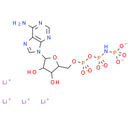 AMP-PNP tetralithium