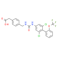 RORγt inverse agonist 13