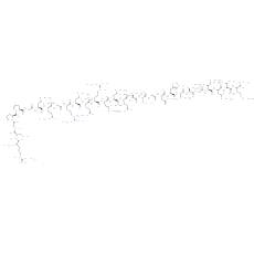 Orexin B, human