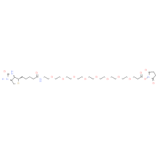 Biotin-PEG8-NHS ester