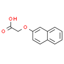 2-Naphthoxyacetic acid