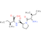Diprotin A