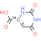 Orotic acid-6-C14