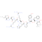 Kinetensin