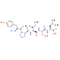 Gluten Exorphin C