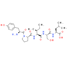 Gluten Exorphin C