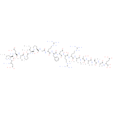 Calcineurin substrate