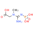 Phosphocreatine