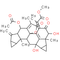 Chlorahololide C