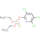 Chlorpyrifos
