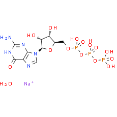 Guanosine 5'-triphosphate trisodium salt hydrate
