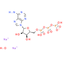ATP disodium salt hydrate