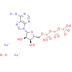 ATP disodium salt hydrate