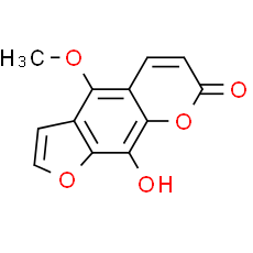 8-Hydroxybergapten