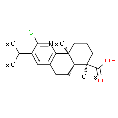 12-Chlorodehydroabietic acid