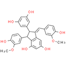 Gnetulin
