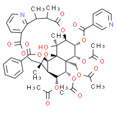 Hyponine D