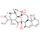 Physalin L