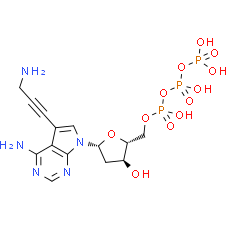 7-Deaza-7-propargylamino-dATP