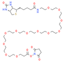 Biotin-PEG12-NHS ester