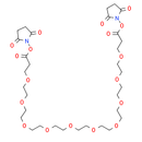 Bis-PEG10-NHS ester
