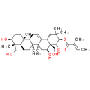 21-O-Tigloylgymnemagenin