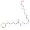 Lipoamido-PEG3-OH