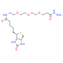 Biotin-PEG3-propionic hydrazide