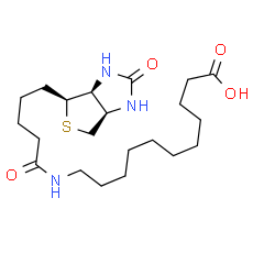 (+)-Biotin-SLC