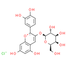 Cyanidin-3-O-galactoside chloride - CAS