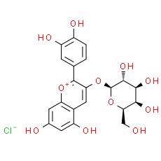 Cyanidin-3-O-galactoside chloride - CAS