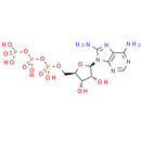 8-NH2-ATP