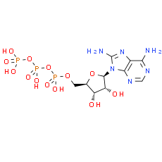 8-NH2-ATP
