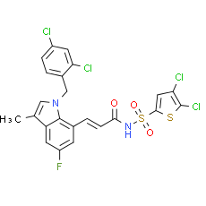 DG-041