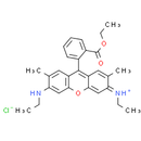 Rhodamine 6G - CAS