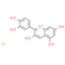 Cyanidin Chloride