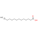 Alkynyl myristic acid