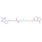 Biotin-PEG2-NHS ester