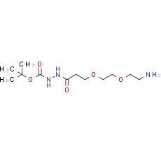 Amino-PEG2-C2-hydrazide-Boc