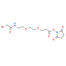 Bromoacetamido-PEG2-C2-NHS ester