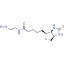 Biotin-EDA