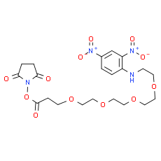 DNP-PEG4-NHS ester