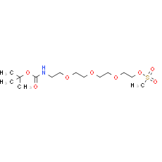 Boc-NH-PEG4-Ms