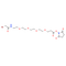 Bromoacetamido-PEG4-NHS ester