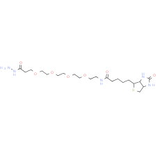 Biotin-PEG4-hydrazide