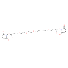 Bis-PEG5-NHS ester